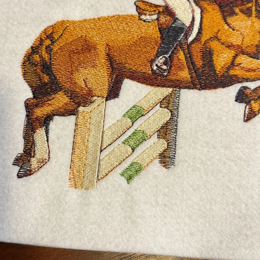 VTG Sport Horse Jumping Scene Handmade Embroidery Western Equestrian Sew On